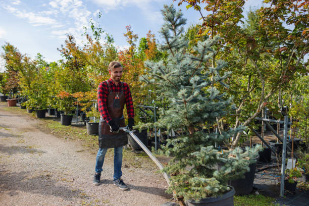 Best Tree Care Services  in Oglesby, IL